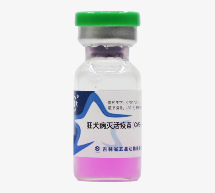 [package Gift Vaccine] Pet Puppies Vaccine Dog Rabies - Dog, transparent png