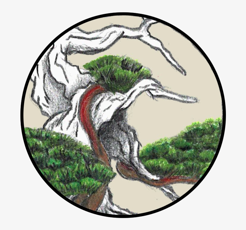 Sbs Logo 4 - Wasilla, transparent png