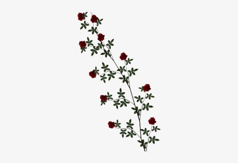 White Rose Vine Clip Art, transparent png