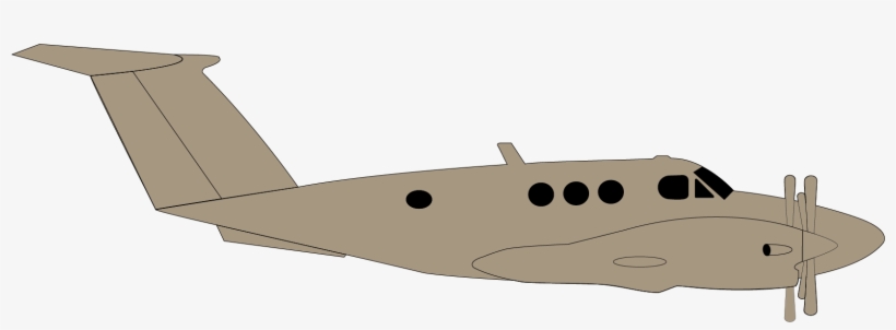 Back - Cartilaginous Fish, transparent png