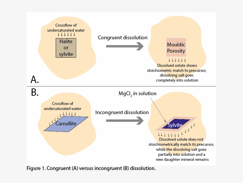 More Than A Century Ago, Van't Hoff Suggested That - Diagram, transparent png
