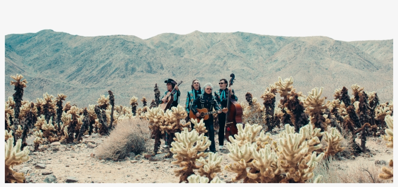 Grammy Award-winning Americana Legend Marty Stuart - Jumping Cholla, transparent png