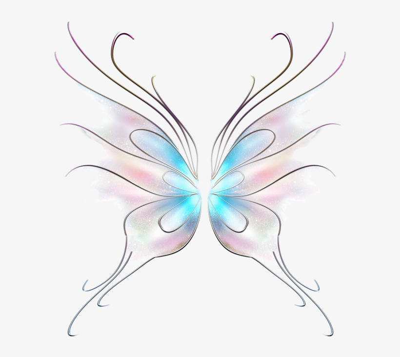 On Butterfly Wings English - Information About Butterfly, transparent png