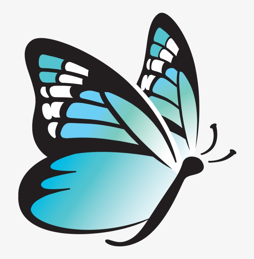 Butterfly Wings Png, transparent png