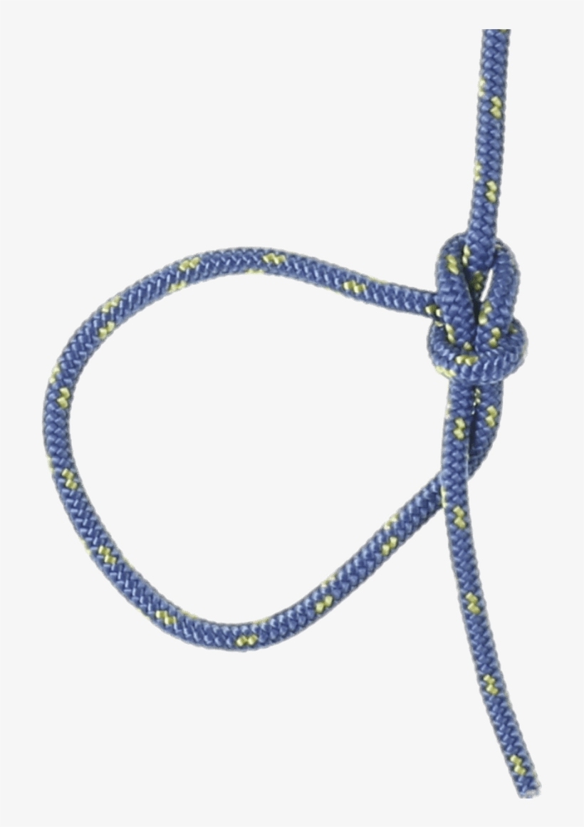 Bowline Knot - Knot, transparent png