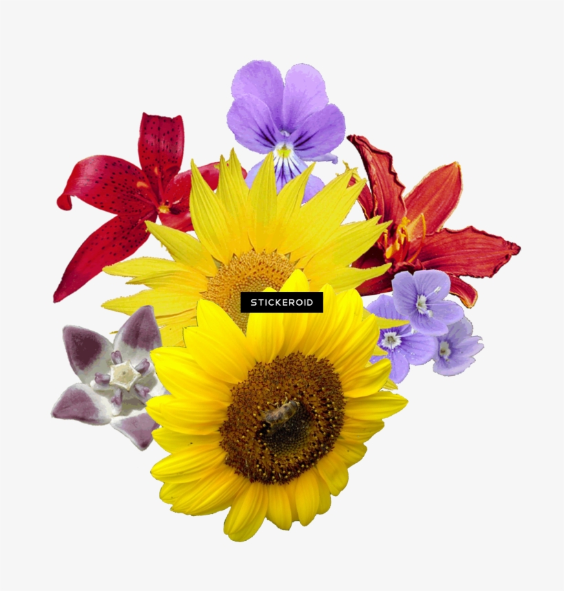Yellow Flowers Bouquet - Flower Bouquet, transparent png
