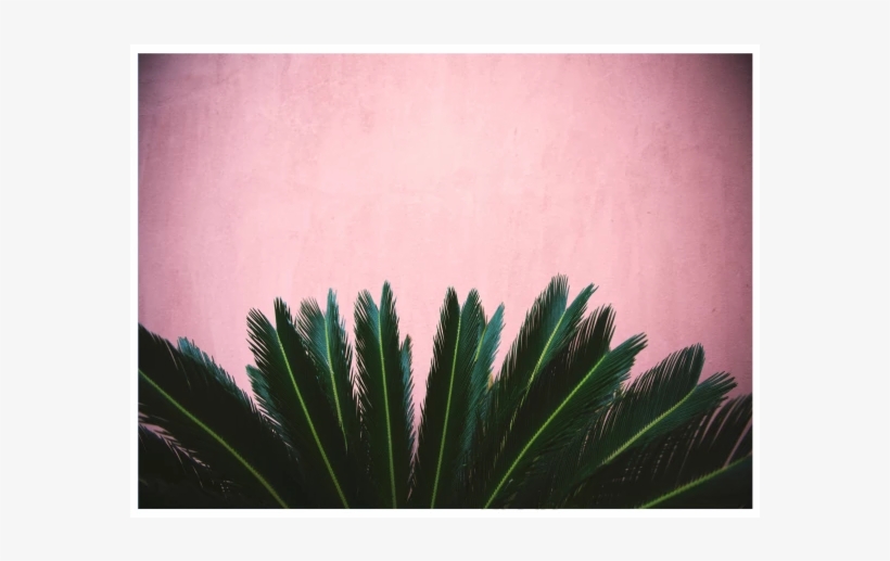 Canvas Wall Art - Fuimos Amor, transparent png