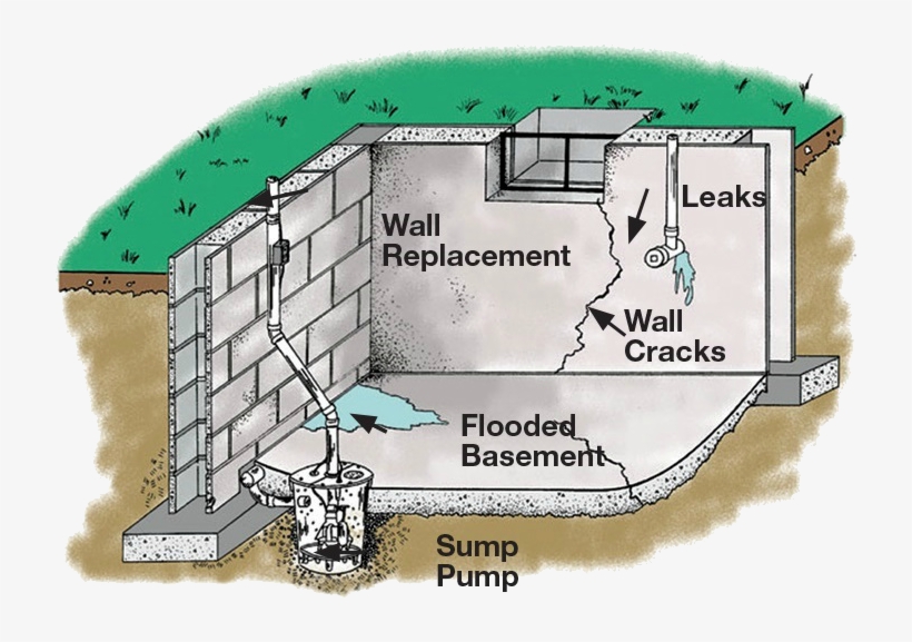 Frank's Basement Systems Has Spent Over 30 Years As - Local Basement Waterproofing, transparent png
