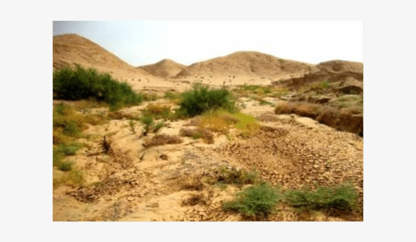 The Hilly Region In Iraq, Photo By Mudhafar Salim, - Key Biodiversity Areas Of Iraq: Priority Sites, transparent png