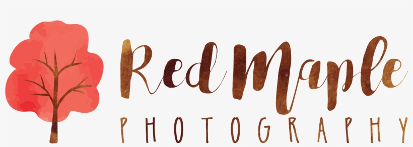 Red Maple Photography, transparent png