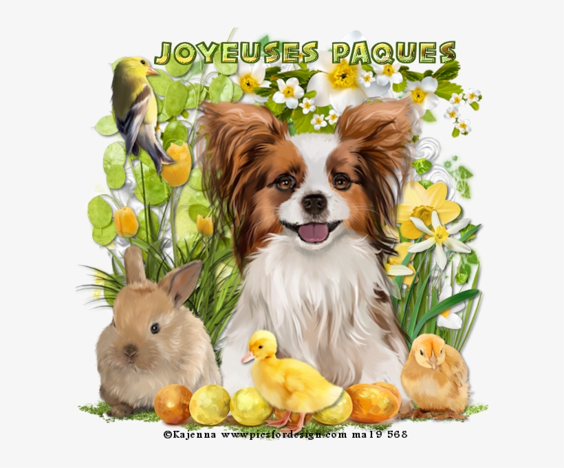 Papillon, transparent png