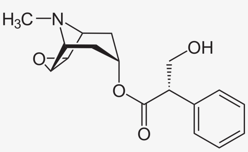 L Scopolamin, transparent png