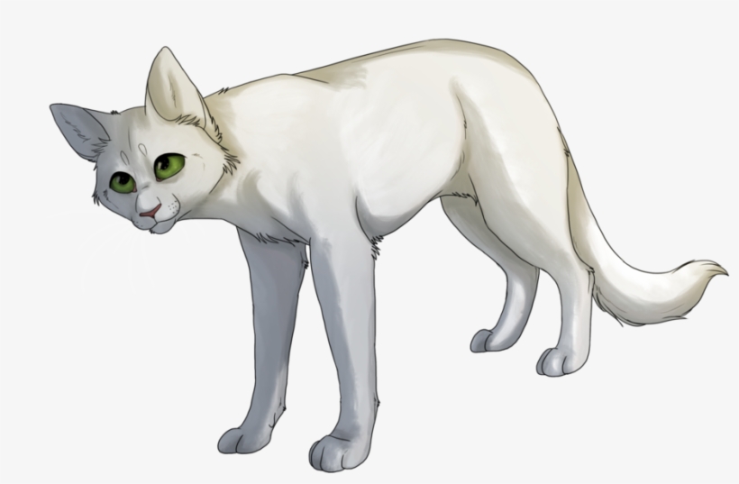 Halfmoon - Half Moon Warriors Transparent, transparent png