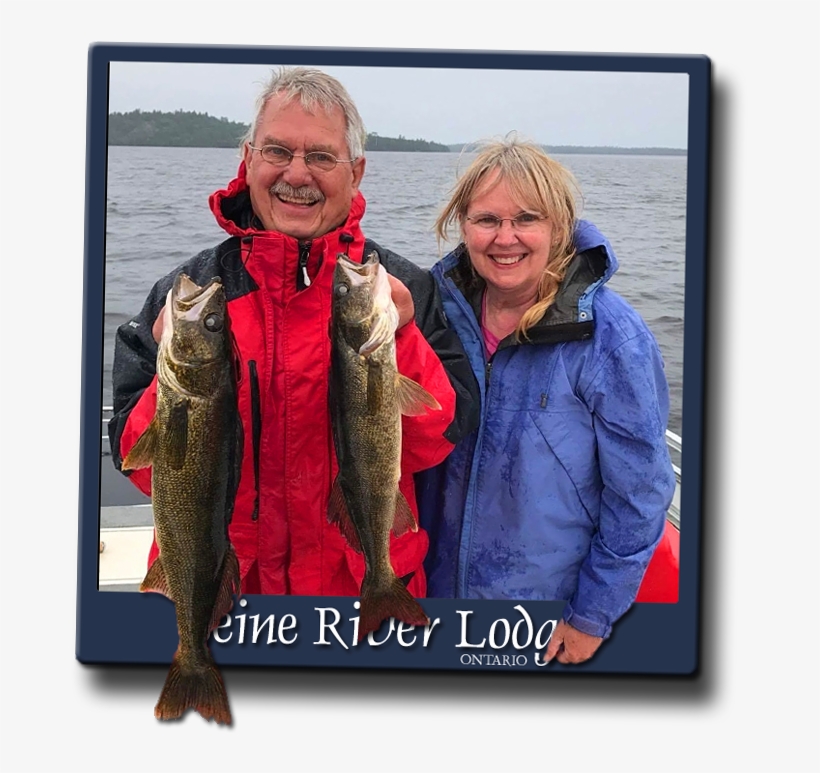Some Of Our Best Action All Summer Comes In October - Walleye Fishing, transparent png