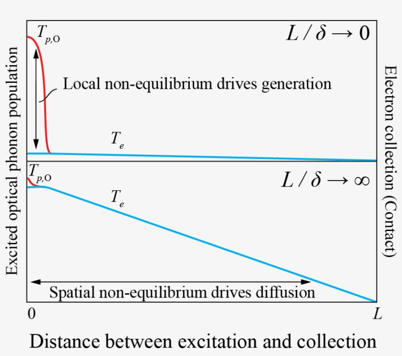 Non-equilibrium For Two Length Scales - Natural Selection, transparent png