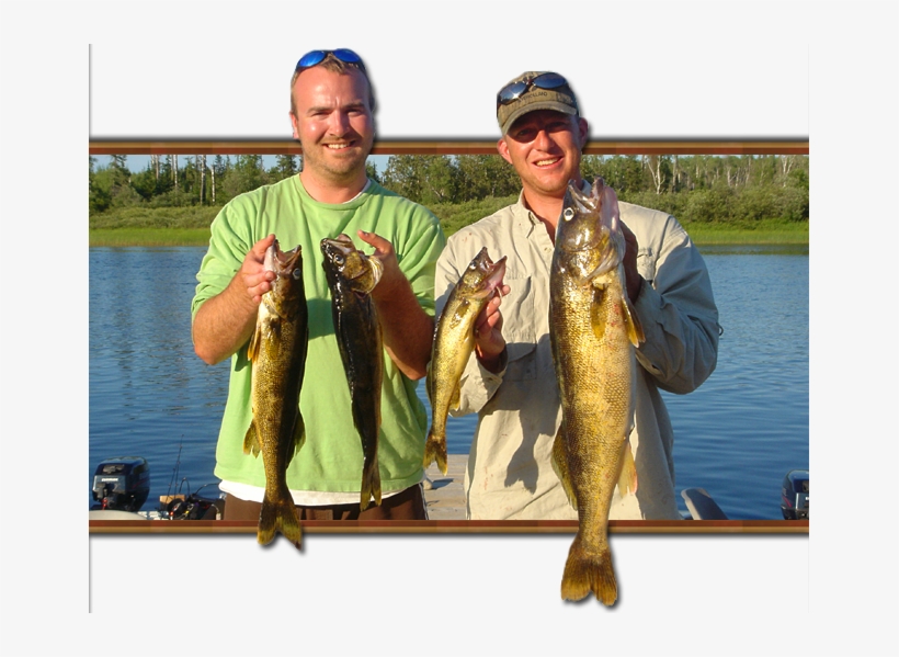 From The River You Have Access To 14 Miles Of Scenic - Pull Fish Out Of Water, transparent png