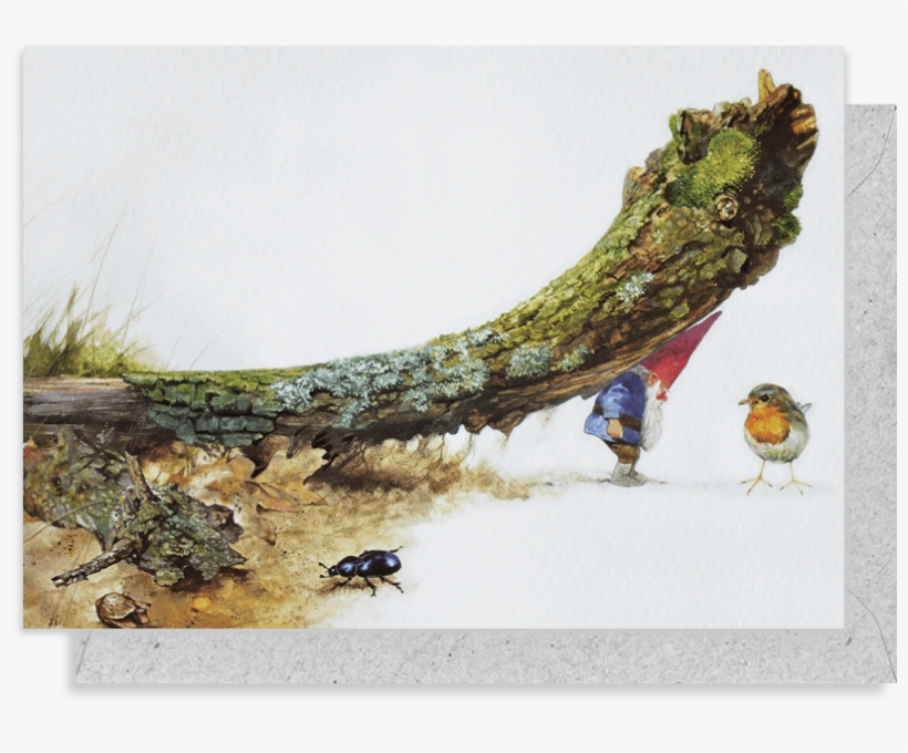 5015 Rien Poortvliet Greeting Card - Little Gnome Facts [book], transparent png
