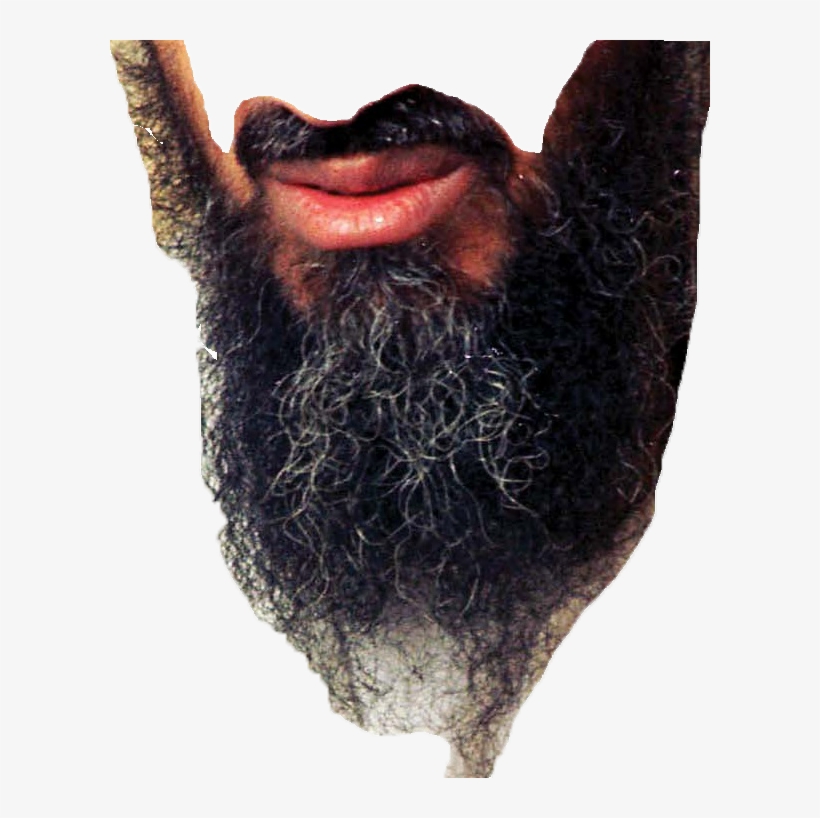 Load 3 More Imagesgrid View - Osama Bin Laden Memes, transparent png