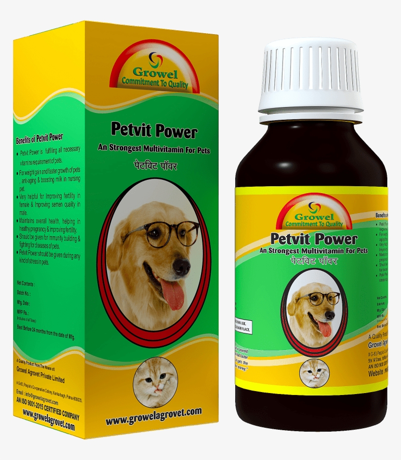 Multivitamin For Dog & Cat - Golden Retriever Dog With Glasses Birthday Greeting, transparent png