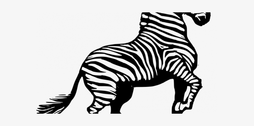 Zebra Animal Clipart Pictures Royalty Free Org Of To - Zebra Black And White Clipart, transparent png