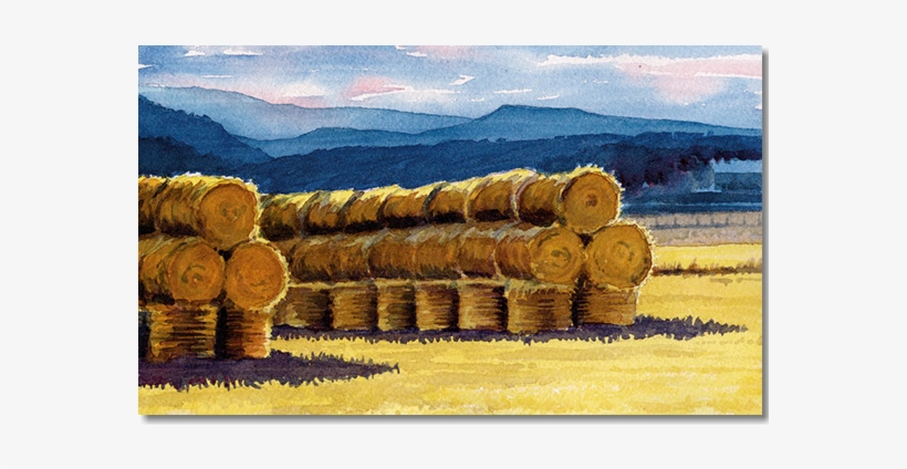 Original Traditional Watercolors By Gregory Effinger - Watercolor Painting, transparent png