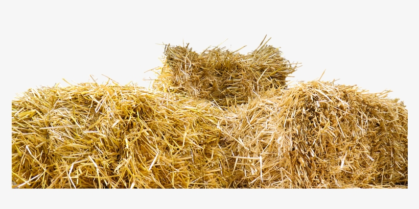 Straw Straw Bales Isolated Agriculture Har - Bale Of Hay Png, transparent png