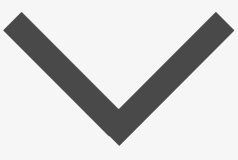 Radoslav Opacic Aia Architects Has A Well-earned Reputation - Down Arrow Black Svg, transparent png