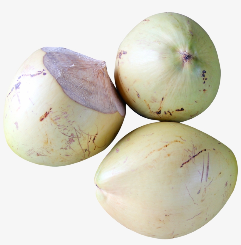 Top View Of Coconut Png Image - Coconut Top View Png, transparent png