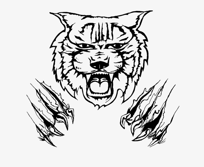 Wildcat Drawing Clip Art - Wildcat Drawing, transparent png
