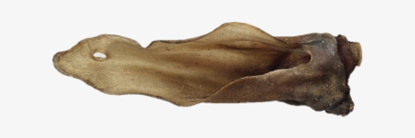 Svg Free Stock Anco Naturals Ears Pack Ruff Shop - Anco Naturals Deer Ears 5pk, transparent png