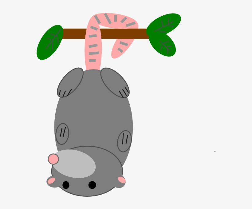 How To Set Use Possum Clipart, transparent png