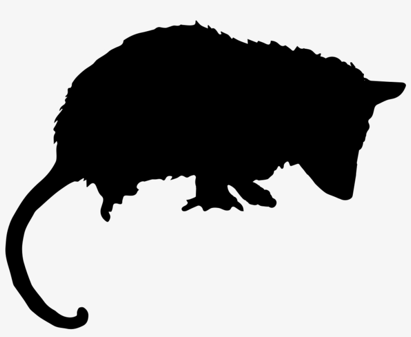 Opossum Mammal Animal Silhouette Comments - Gambá Vetor, transparent png