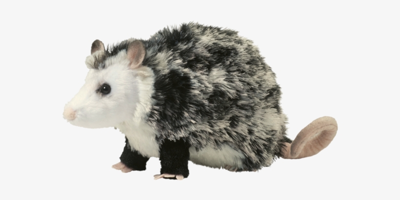 Douglas Oliver Possum - Possum Plush, transparent png