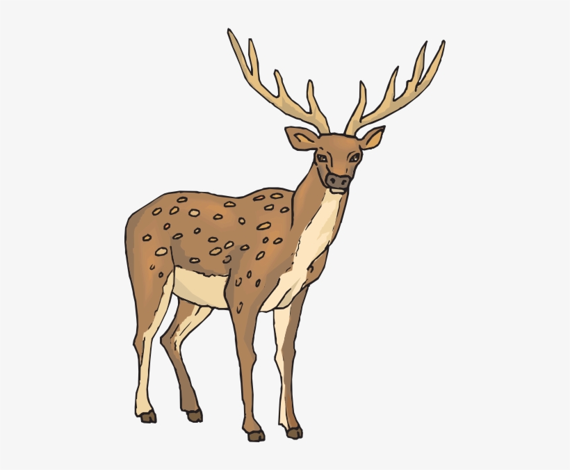 Deer With Large Antlers Svg Clip Arts 462 X 596 Px, transparent png