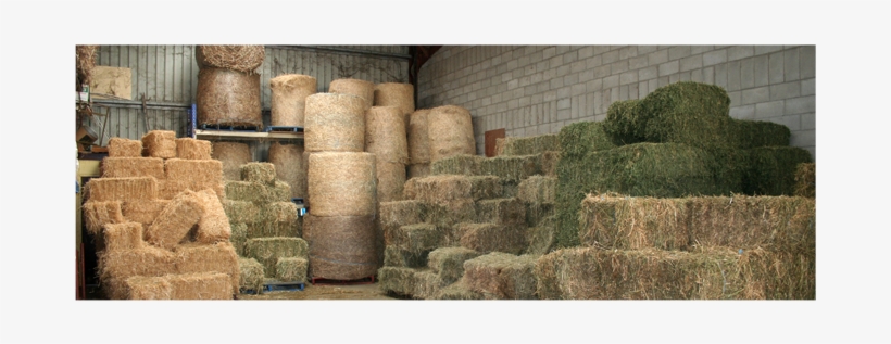 Hay - Brendale Produce, transparent png