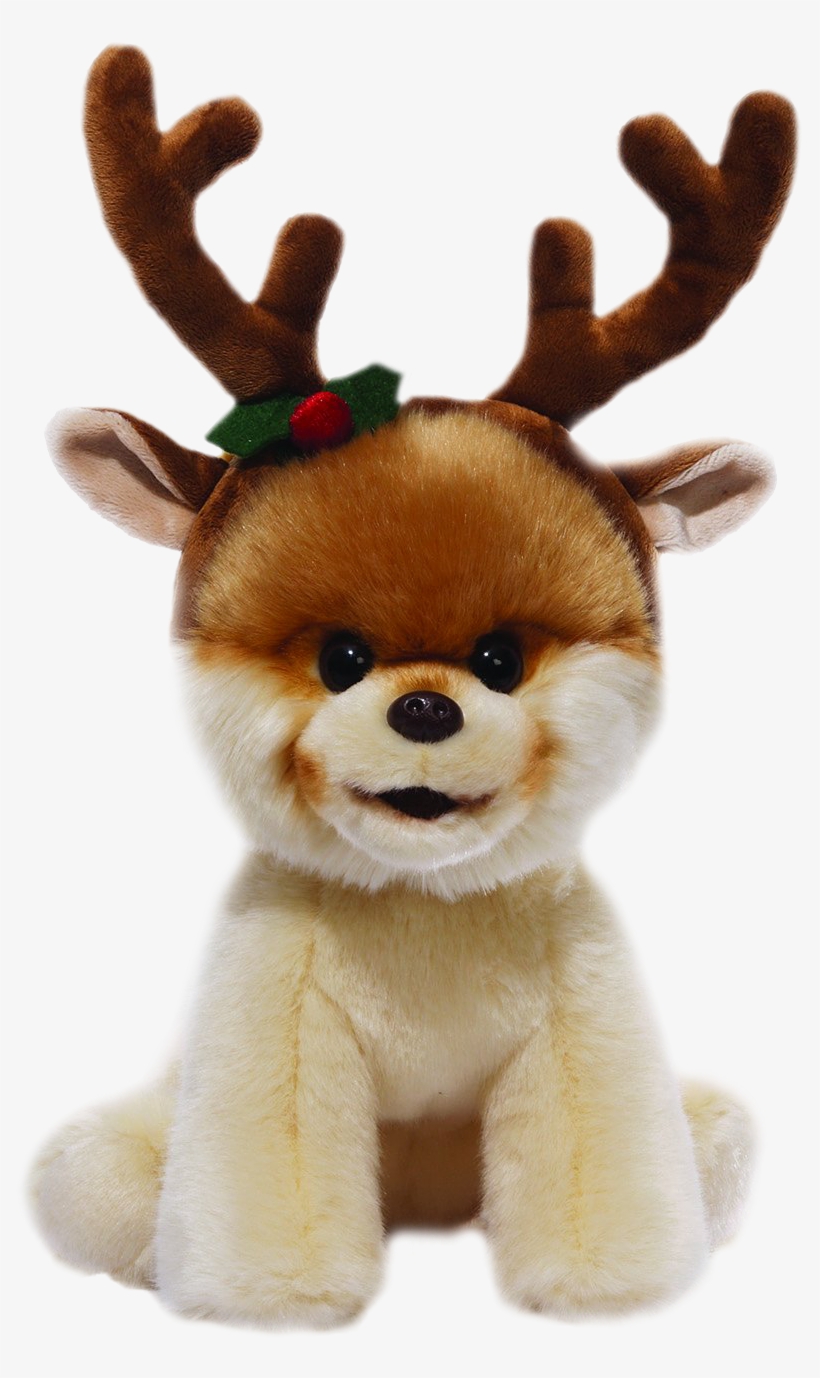 Boo The World's Cutest Dog - Gund Boo 'the World's Cutest Dog' Plush, transparent png