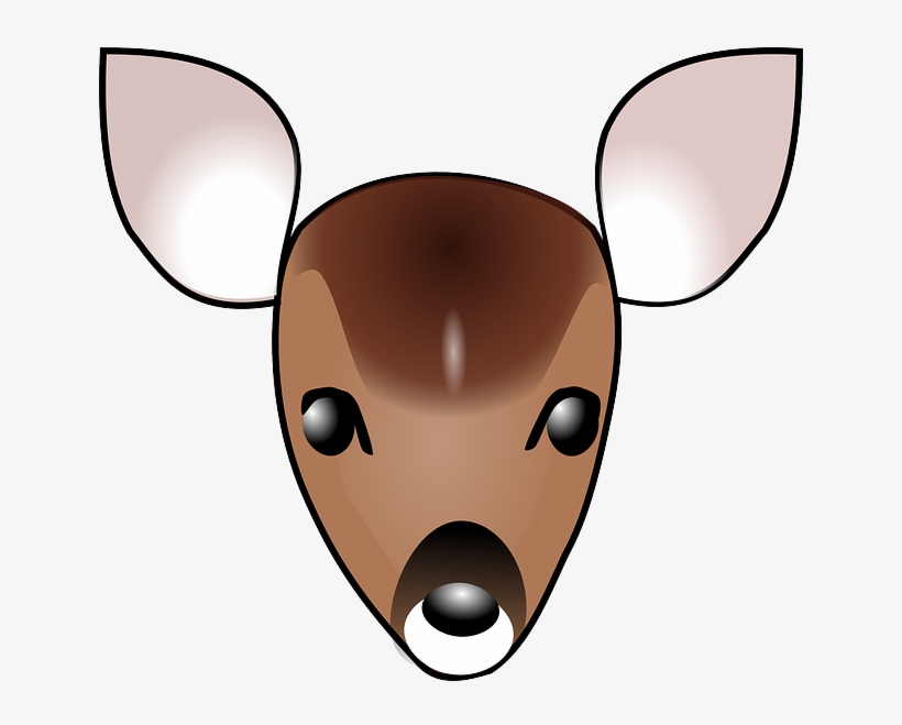 Baby, Head, Face, Cartoon, Deer, Template, Fawn, Heads - Cartoon Deer Head, transparent png