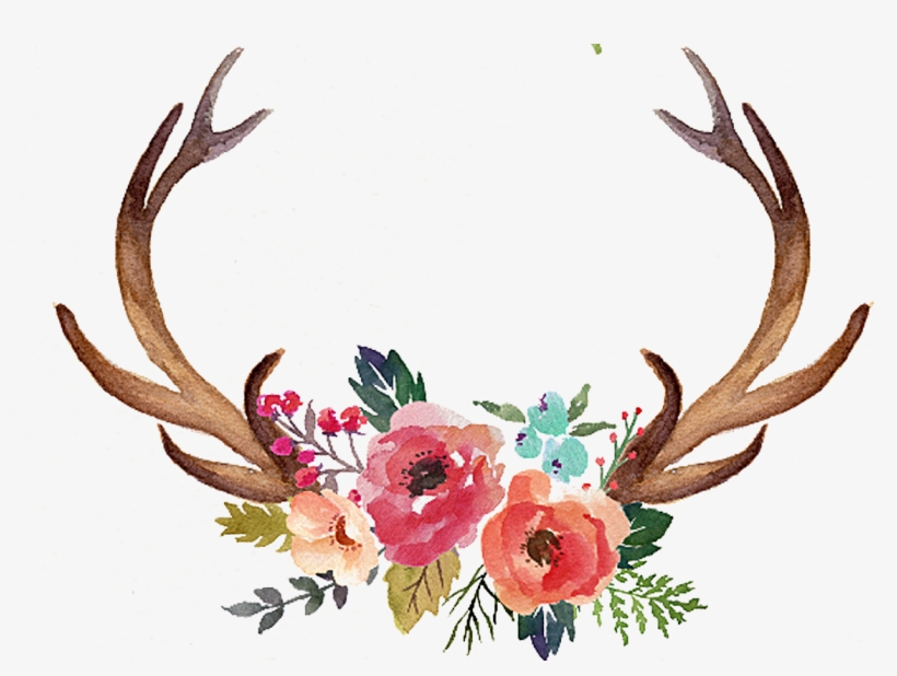 Vector Download Antler Flower Moose Clip Art Hand Painted - Deer Antlers And Flowers, transparent png