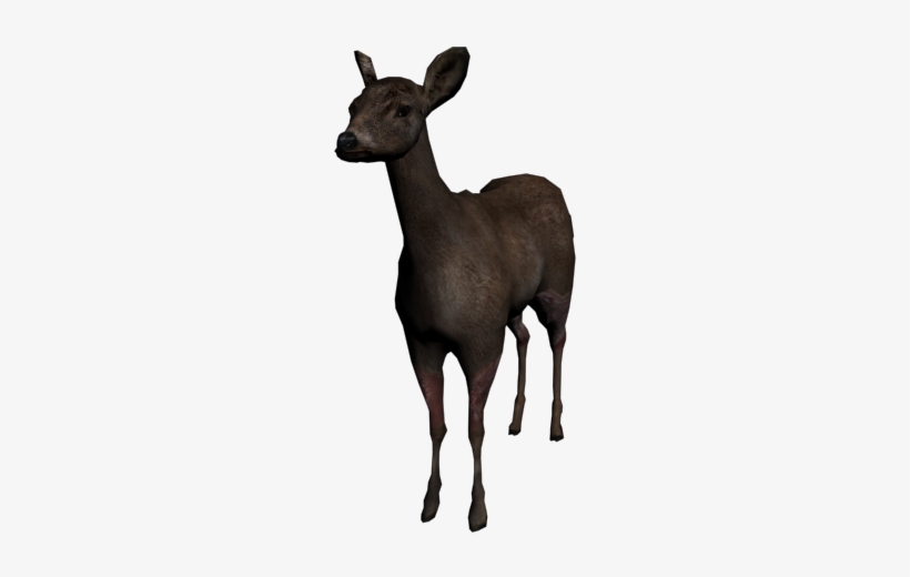 Deer - 3d Deer Png, transparent png