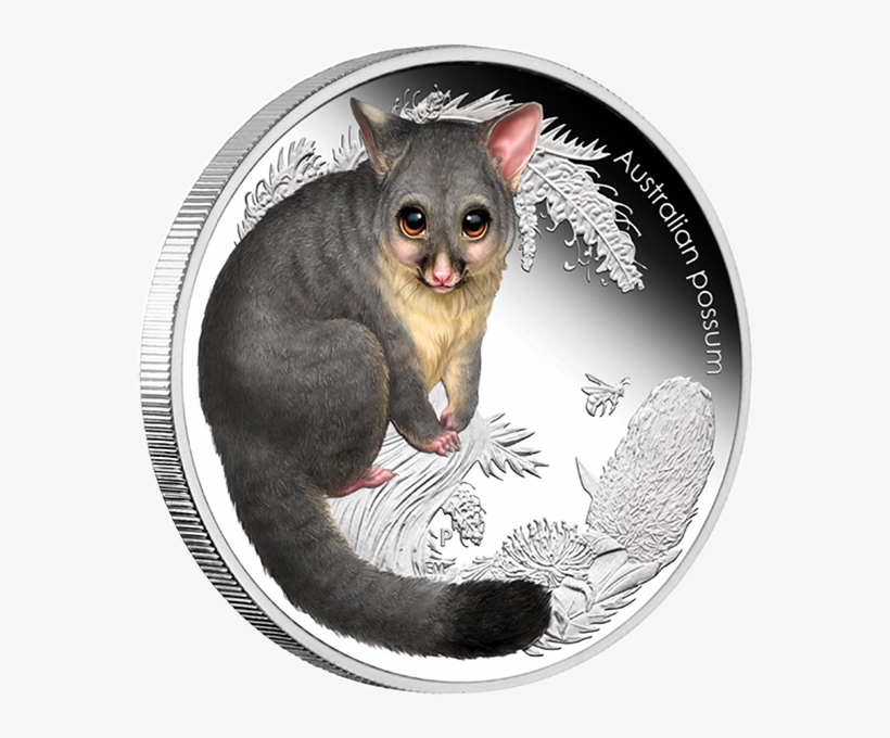 Australia 2013 50 Cents Possum Australian Bush Babies - All Possum Coins Australia, transparent png