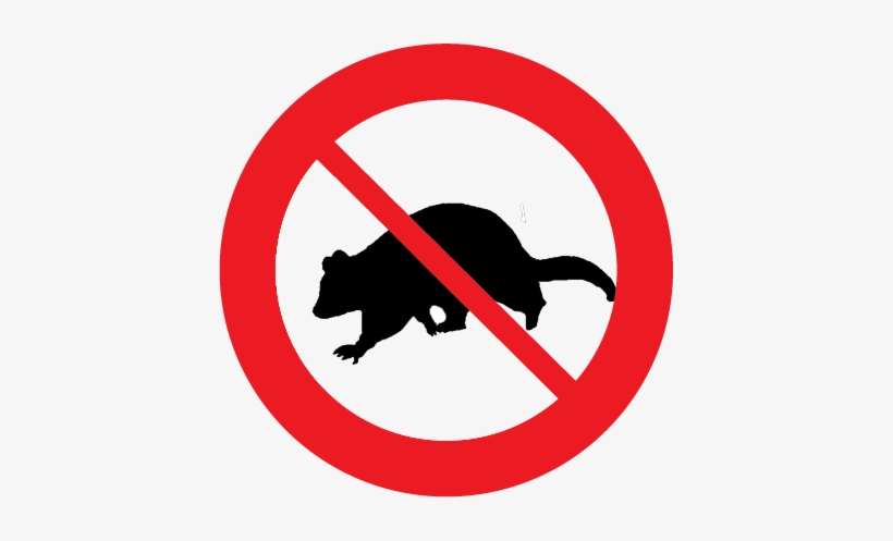 Image - Http - //pestcontrolwagga - Com - - Possum Control, transparent png