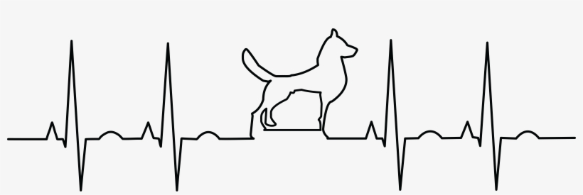 , , - Ekg With Animals Clip Art, transparent png