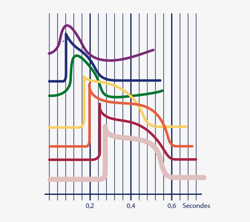 Download The Image Download The Entire Set - Diagram, transparent png