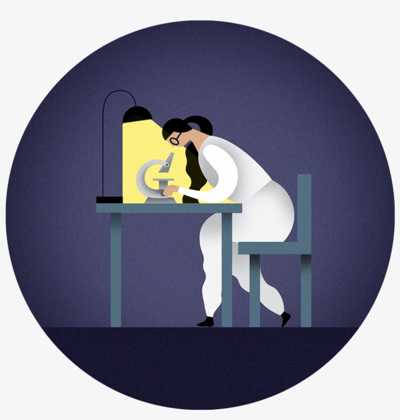 Leadbeater's Possum, transparent png