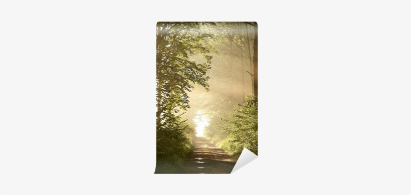 Pathways To Paradise: Meditations For The Spirit, transparent png