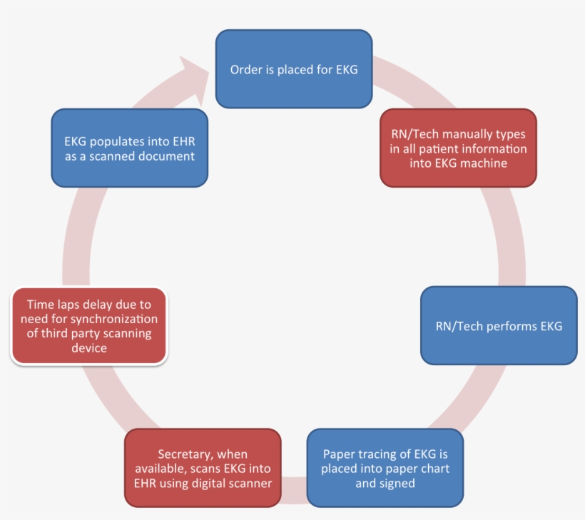 Delay Becomes Apparent Primarily When The Physical - Glogster, transparent png