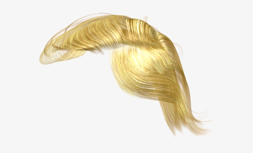 Trump Hair Clipart Stock - Trump's Hair Png Transparent, transparent png