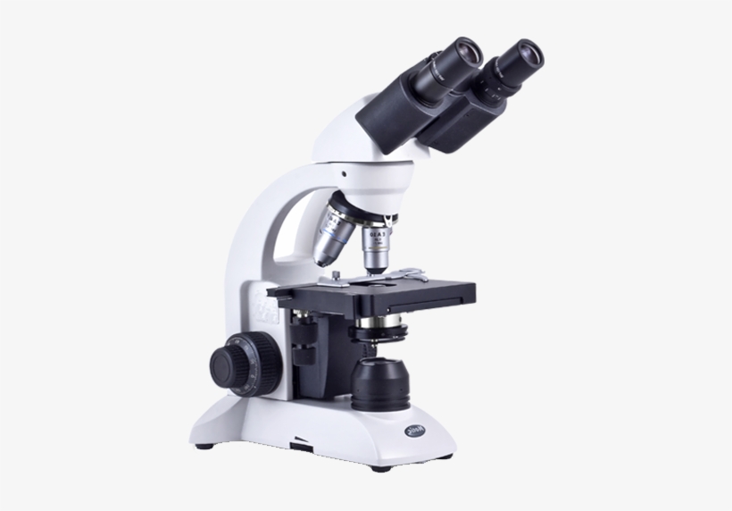 What Is Robo Vidya Science Lab - Alt Attribute, transparent png