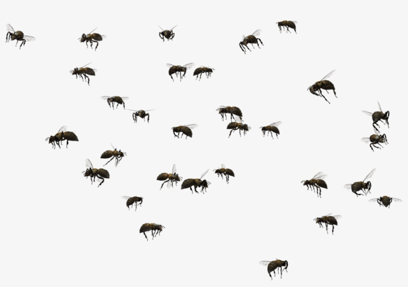 Image Black And White Download Beehive Swarming Clip - Bees Swarm Clip Art, transparent png