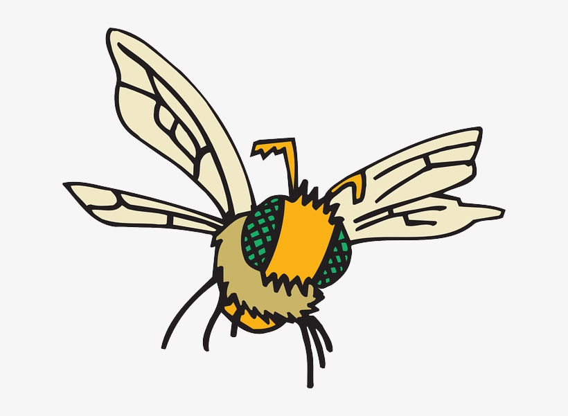 Eyes, Cartoon, Bee, Flying, Insect, Compound, Fuzzy - Flying Insect Png Cartoon, transparent png